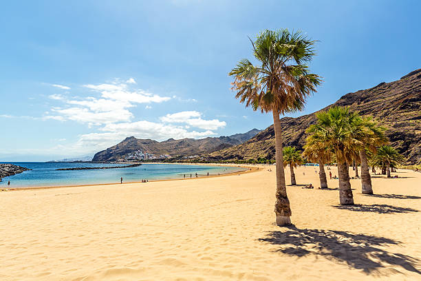 Vista de Tenerife 2