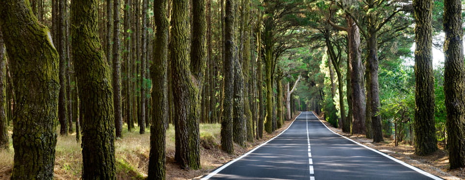 Carreteras