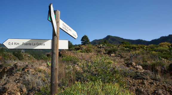 Turismo en cifras