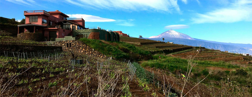 Bodegas Monje