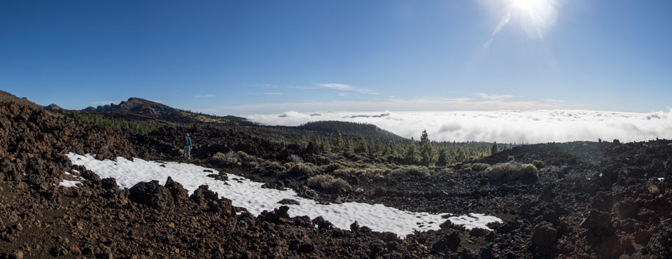 32. Abeque