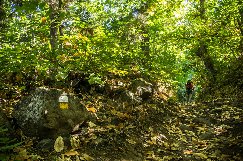 pr-tf-35-1-caldera-casa-gua-pinolere-gal02.jpg