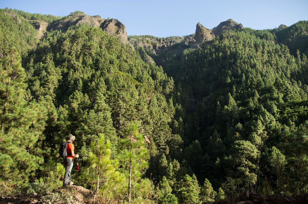 pr-tf-35-1-caldera-casa-gua-pinolere-gal04.jpg