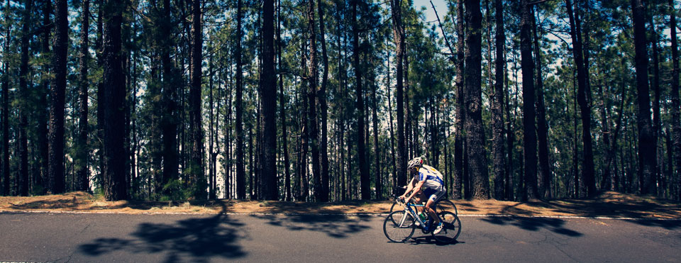 Ruta 8