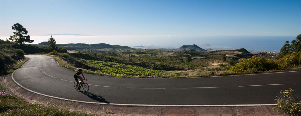 Ruta 7