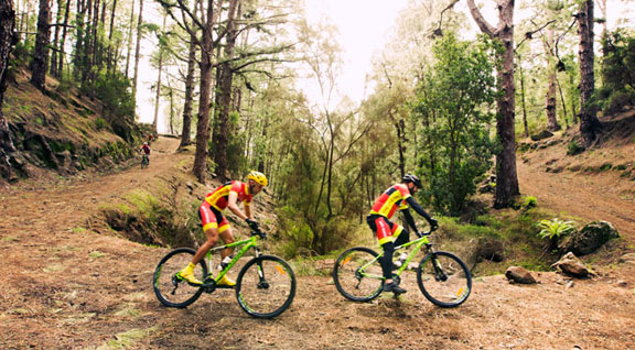 Mountain Bike