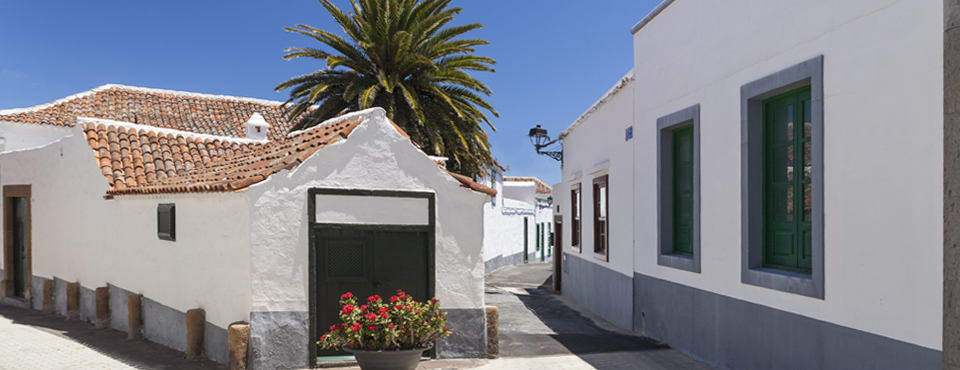 Arico Nuevo