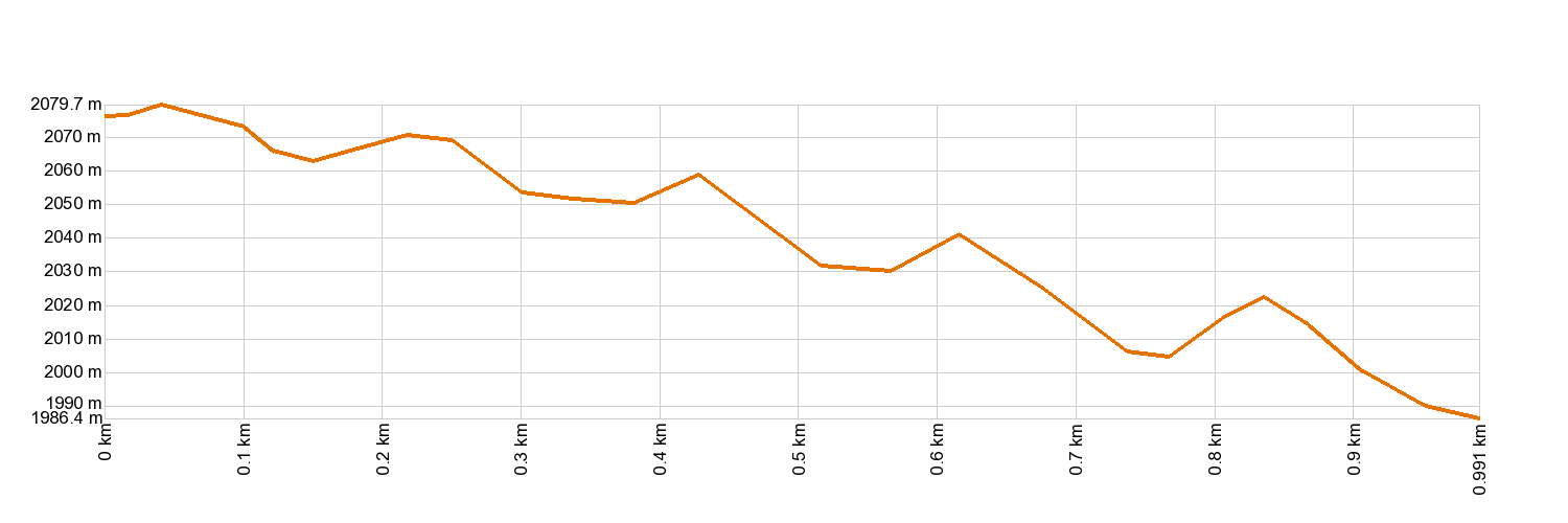 Altimetría 35. Boca Chavao